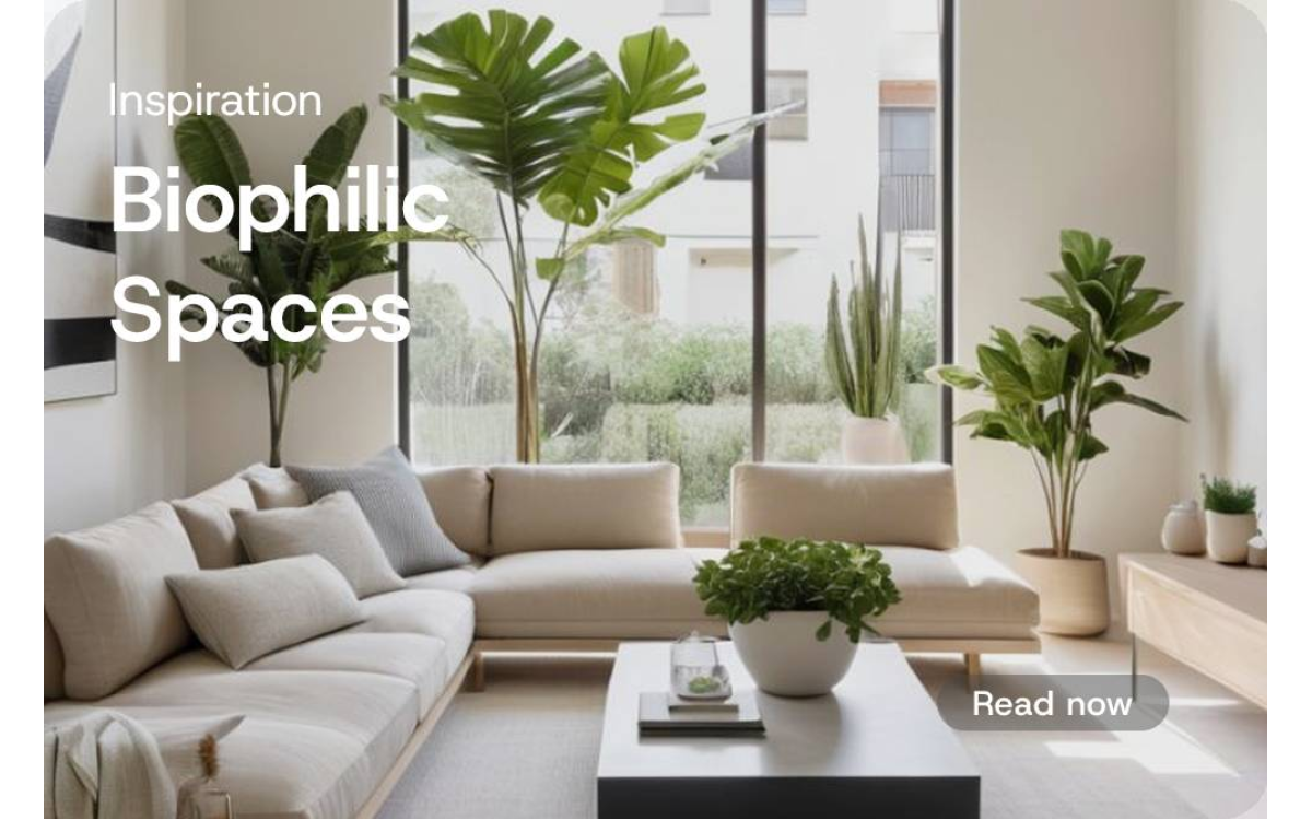 How Biophilic Spaces Connect Interior Design to Beautiful Nature