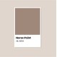 Hazelnut Milk - Korea All Cover Noroo Paint