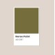 Olive Green - Korea All Cover Noroo Paint